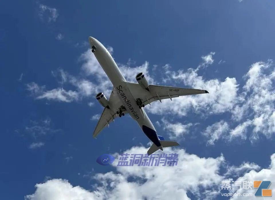 PMTA近况更新:FDA审核效率仍较低,烟油口味或部分放开插图 PMTA近况更新:FDA审核效率仍较低,烟油口味或部分放开-电烟雾化⚡