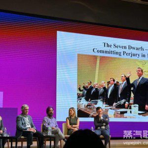 GTNF探讨解决青少年滥用减害产品问题 ：需要社会各机构共同协作