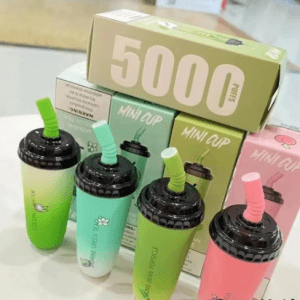wdg电子烟是杂牌吗？