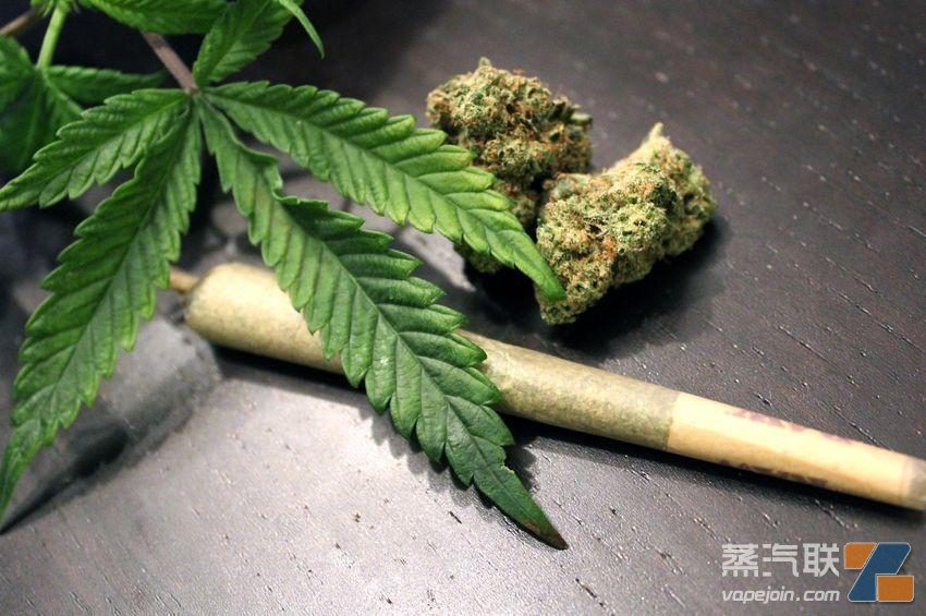 国际大麻品牌Cookies宣布正式进入纽约市场-电烟雾化⚡