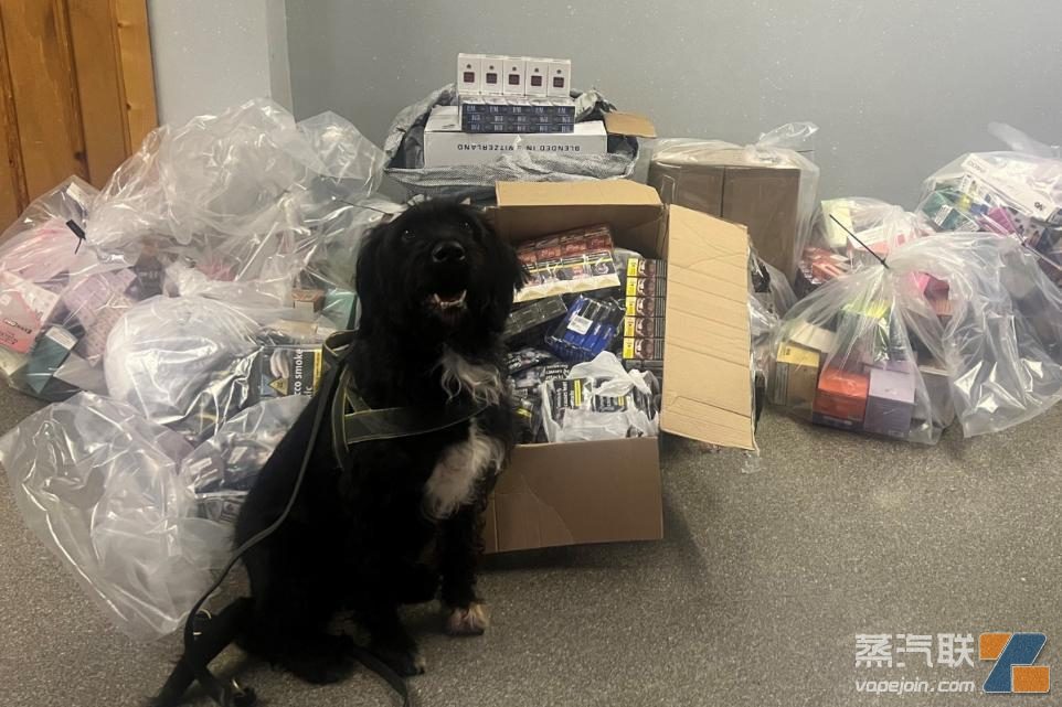 英国嗅探犬协助警方查获非法烟草商品-电烟雾化⚡