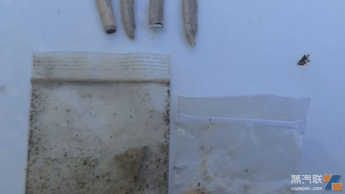 阿根廷电子音乐派对现场逮捕年轻人 携带大麻烟和违禁药物-电烟雾化⚡