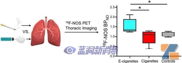 研究:电子烟使用者的肺部炎症甚至比吸烟者更严重插图 研究:电子烟使用者的肺部炎症甚至比吸烟者更严重-电烟雾化⚡