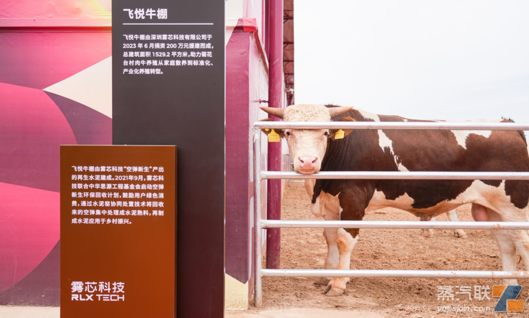电子烟空弹都去哪儿了?悦刻援建牛棚、黄花菜晾晒场,打开乡村振兴“致富插图3 电子烟空弹都去哪儿了?悦刻援建牛棚、黄花菜晾晒场,打开乡村振兴“致富-电烟雾化⚡
