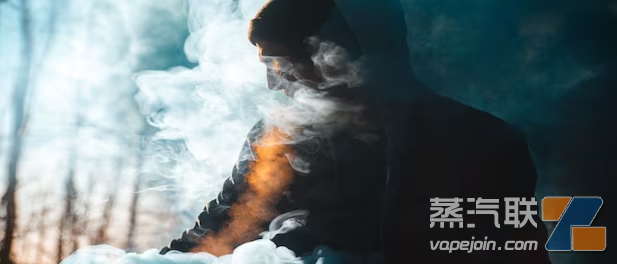 月订货超5万,电子烟店主高调晒业绩,“自爆门”争议插图3 月订货超5万,电子烟店主高调晒业绩,“自爆门”争议-电烟雾化⚡